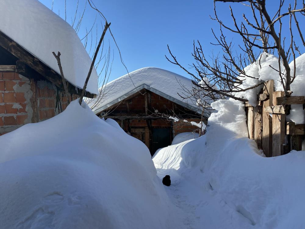 4 metrelik buz sarkıtları korkuttu - Resim : 6