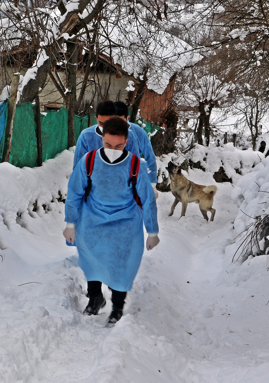 Göl, tepe, karlı yolları aşan ekipler aşı mesaisinde - Resim : 10