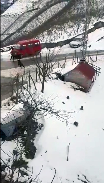 Ne yapacağını şaşırdı! Domuzdan kaçan genç, kendini otomobilin üzerine attı - Resim : 2