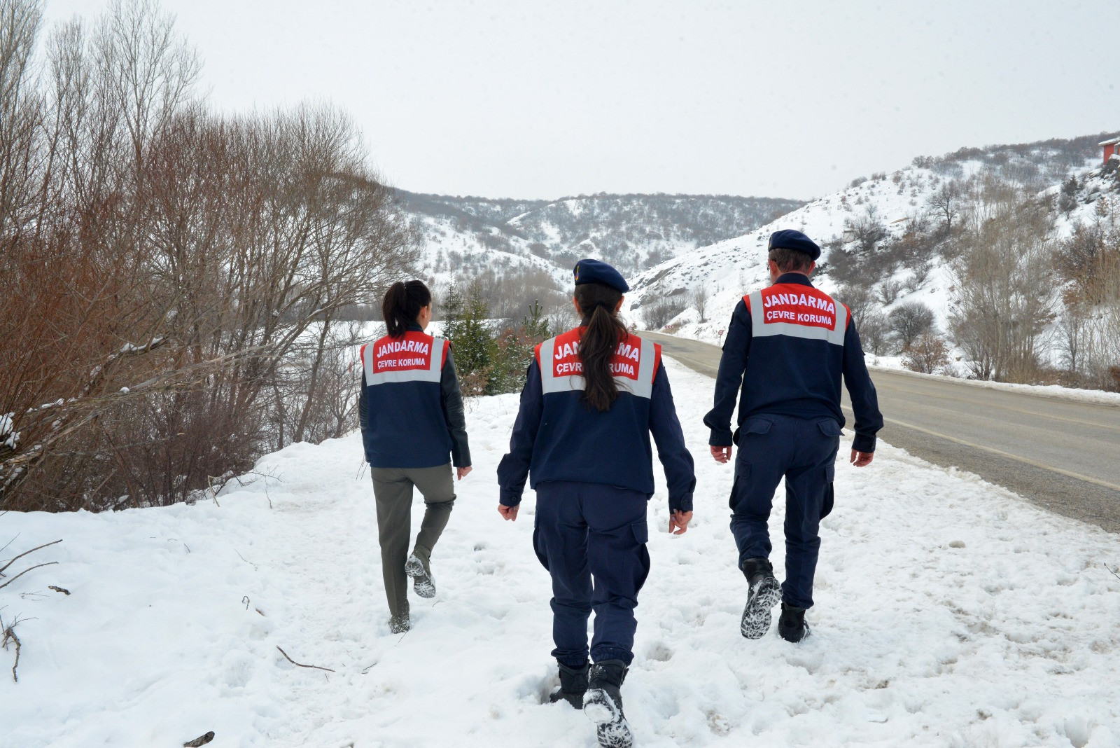 'HAYDİ' ile 31 bin 17 ihbara müdahale edildi - Resim : 2