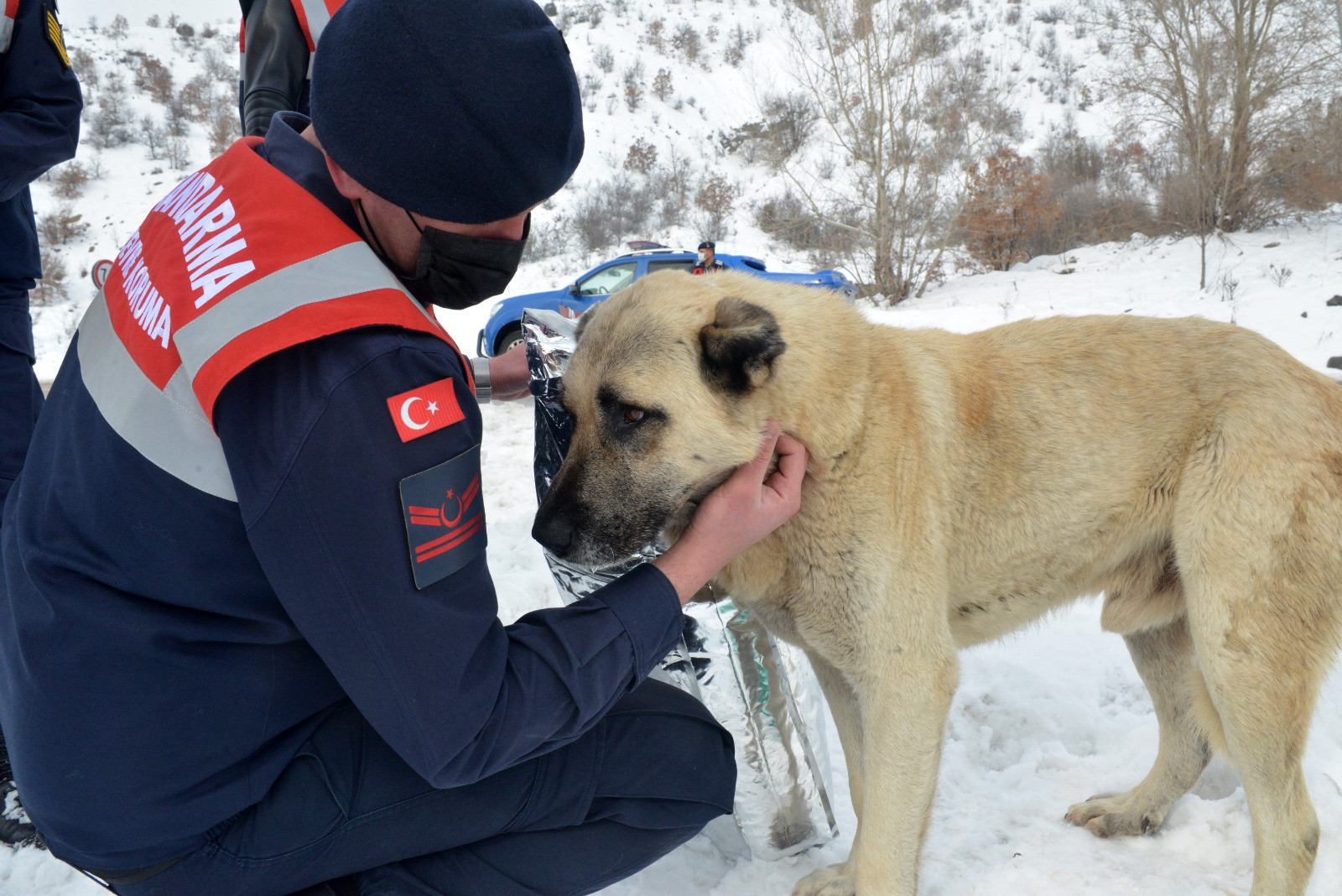 'HAYDİ' ile 31 bin 17 ihbara müdahale edildi - Resim : 3