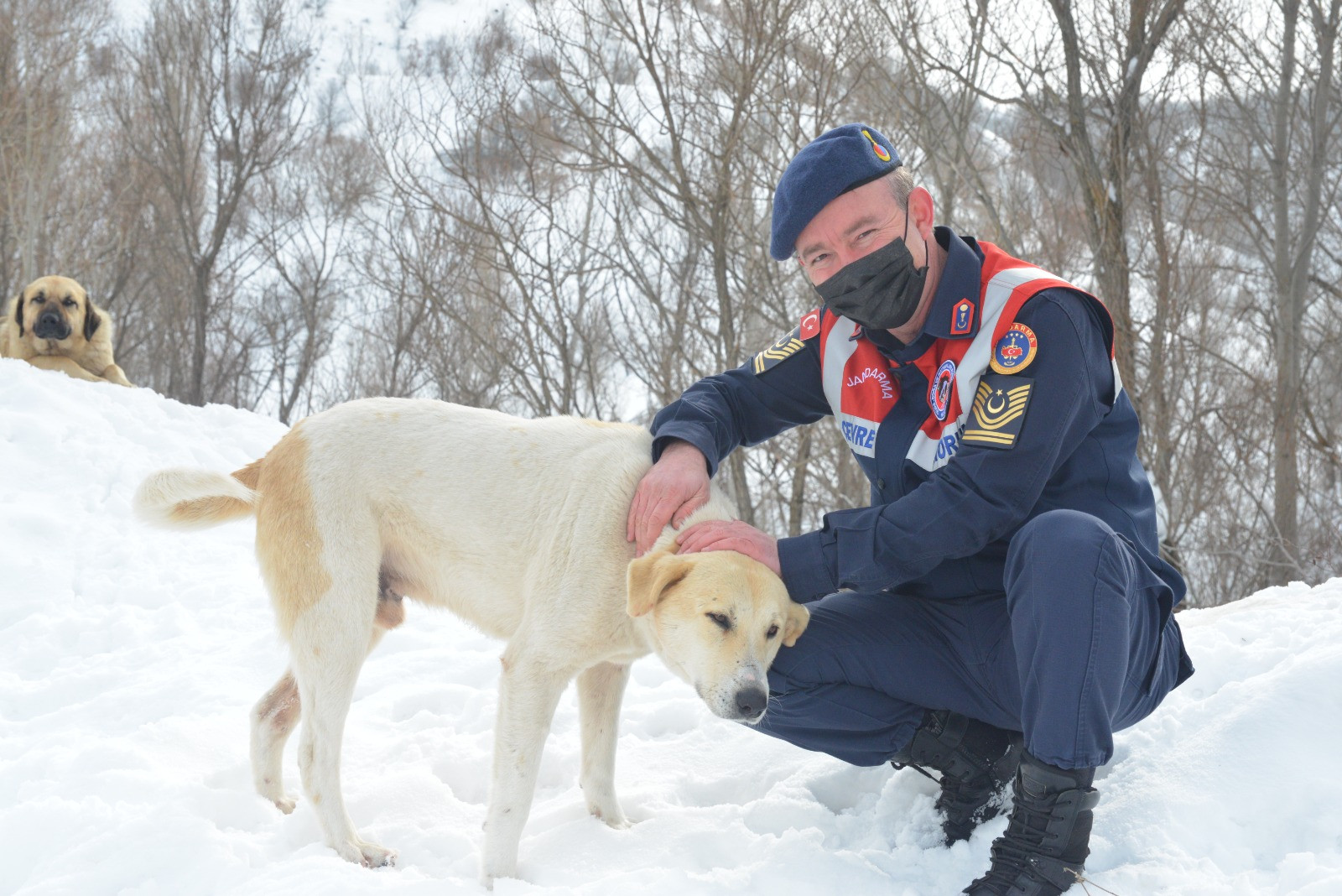 'HAYDİ' ile 31 bin 17 ihbara müdahale edildi - Resim : 4