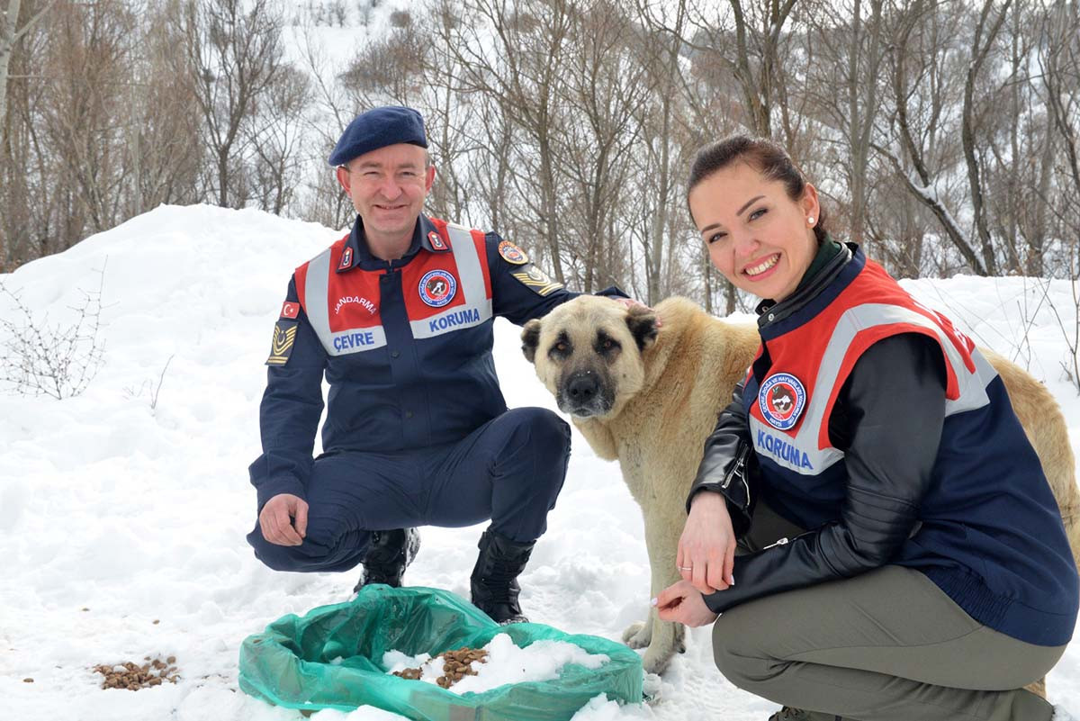 'HAYDİ' ile 31 bin 17 ihbara müdahale edildi - Resim : 7
