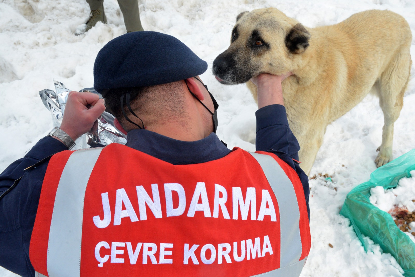 'HAYDİ' ile 31 bin 17 ihbara müdahale edildi - Resim : 9