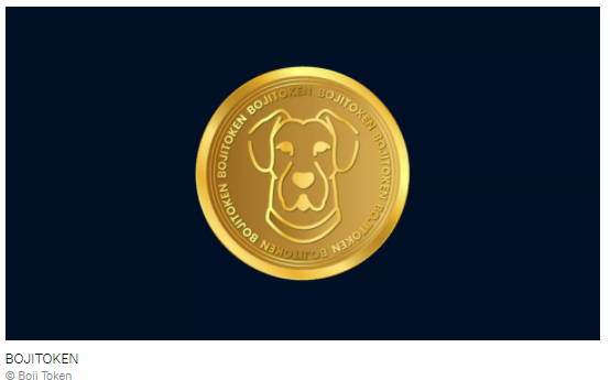Fenomen köpek Boji'nin kripto parası çıktı - Resim : 1