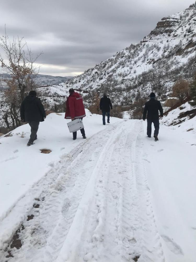 Aç kurtlar keçilere saldırdı - Resim : 5