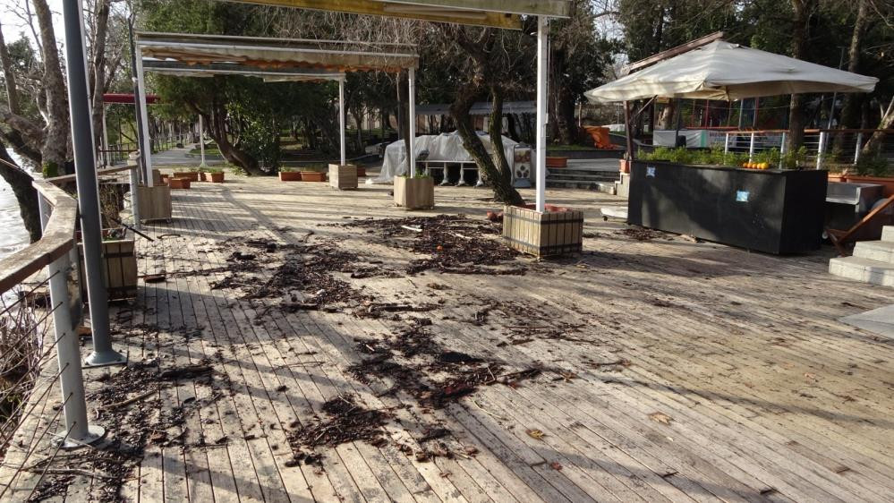 Sel Manavgat Irmağı'nı taşırdı - Resim : 2