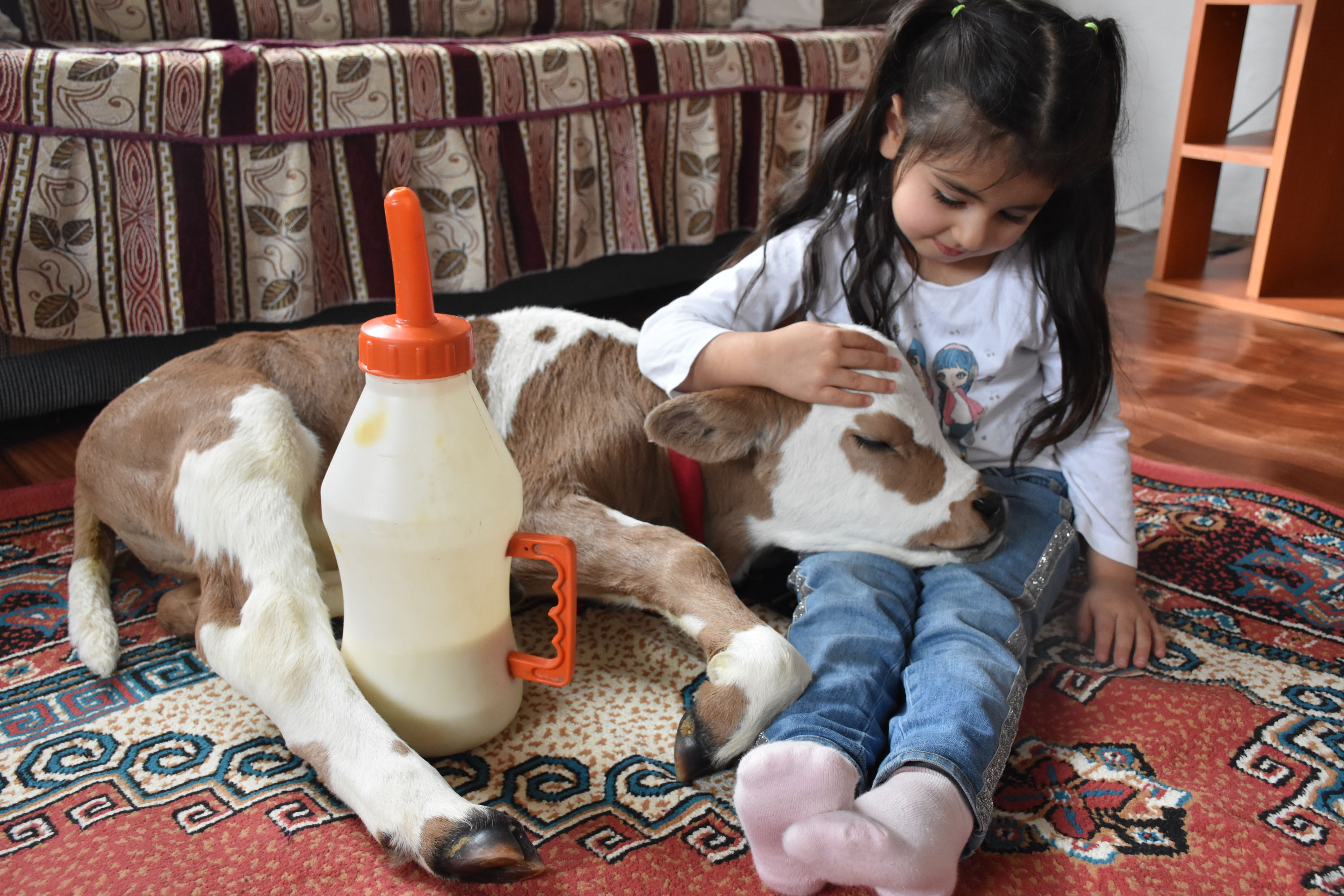 Hiranur'un sevgisi hayata bağladı! Yaşamaz deniliyordu… - Resim : 10