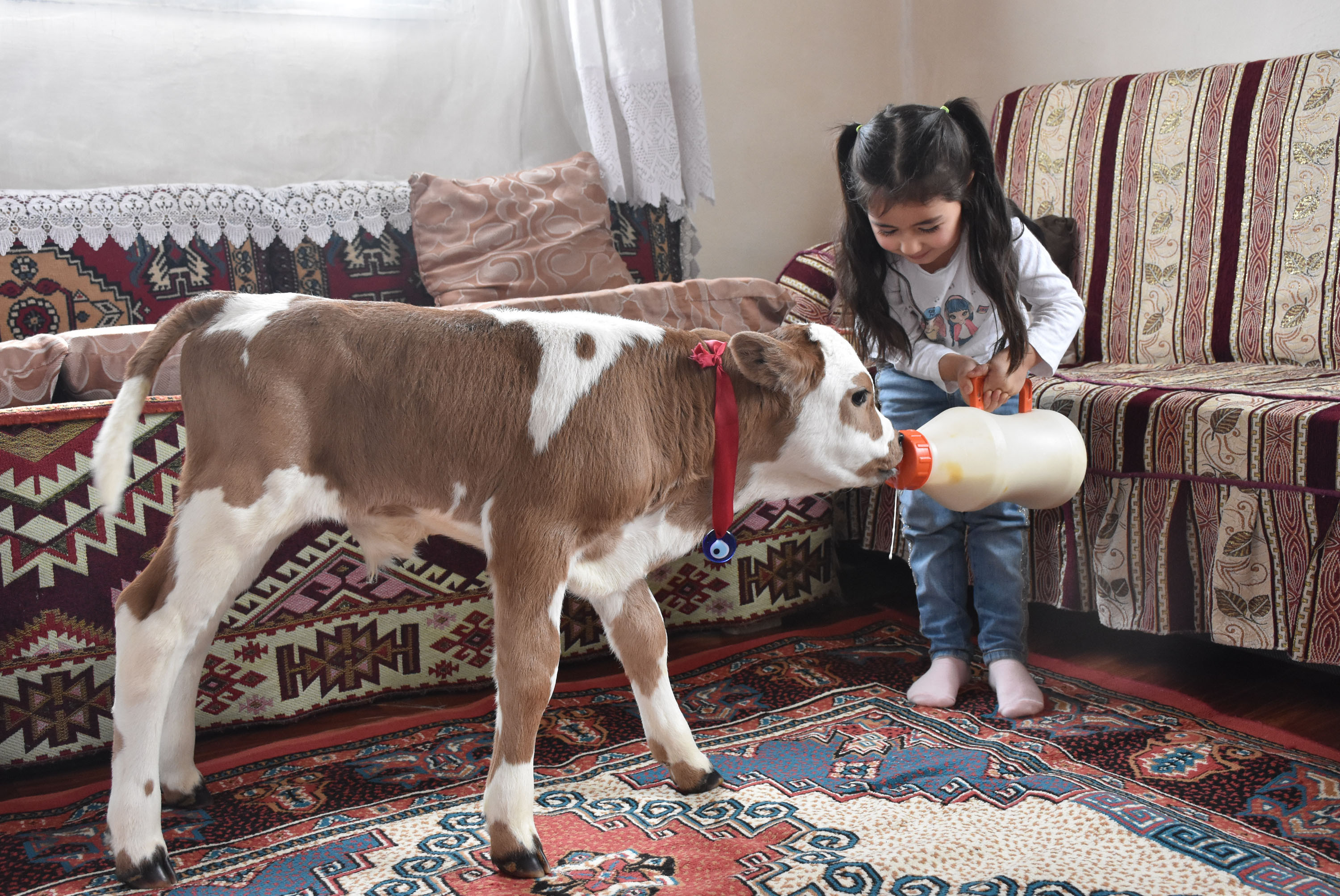 Hiranur'un sevgisi hayata bağladı! Yaşamaz deniliyordu… - Resim : 14