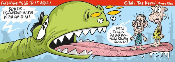 Bakan Nebati'nin çaresizliğini anlatan karikatür - Resim : 1
