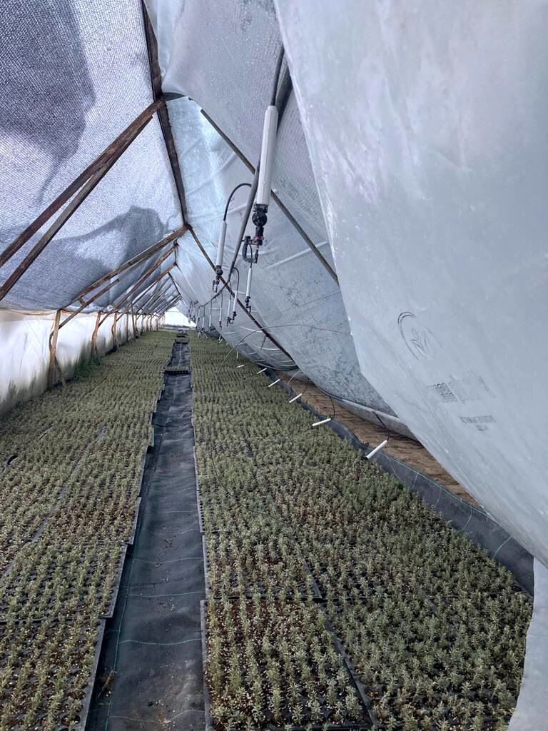 Isparta'da 1 ayda beklenen kar yağışı 2 günde yağdı - Resim : 4