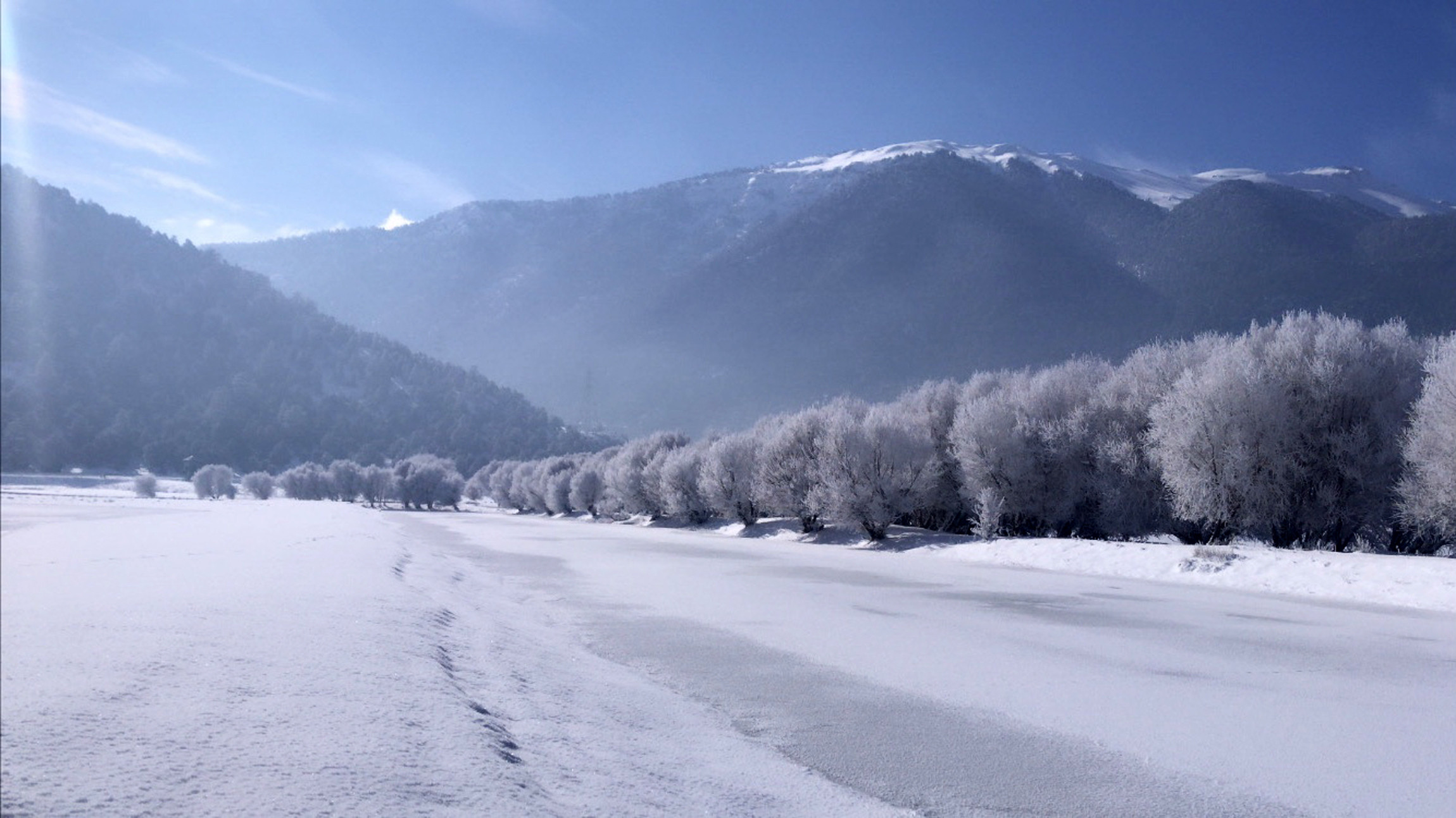 Tamamen kuruyan Avlan Gölü'nde 'su' sevinci! Tamamen kurumuş hayvanlar otluyordu… - Resim : 3