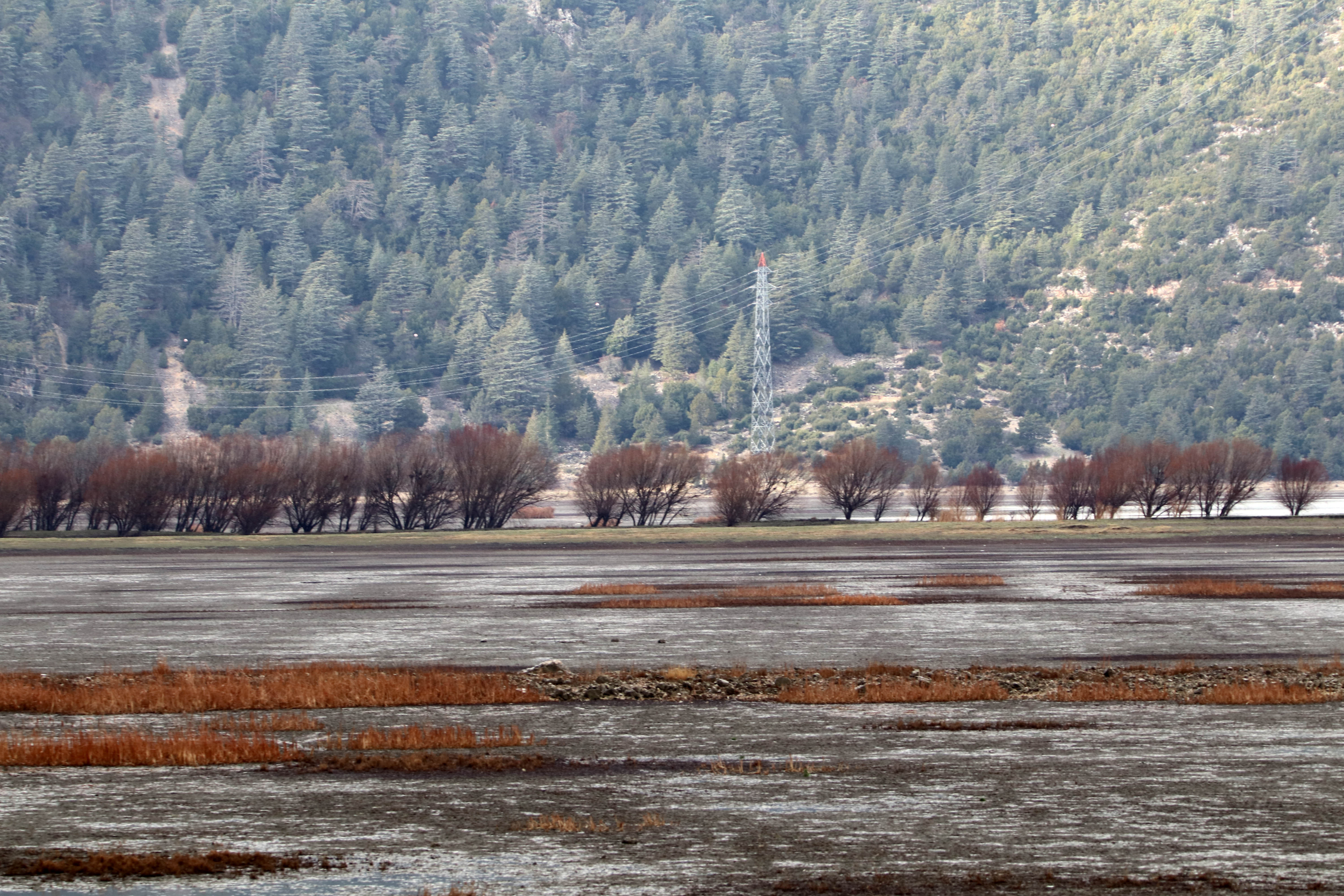 Tamamen kuruyan Avlan Gölü'nde 'su' sevinci! Tamamen kurumuş hayvanlar otluyordu… - Resim : 9