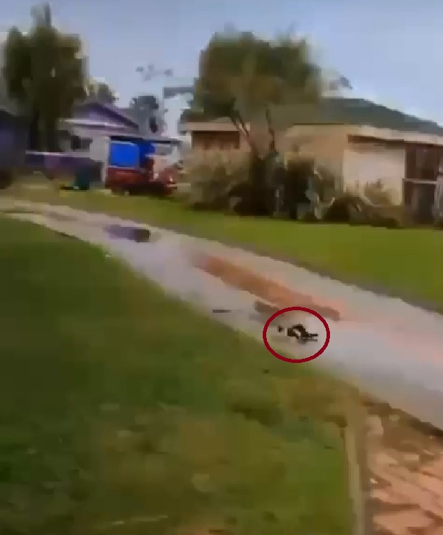 Yavru kediyi tekmeleyen Iraklı çocuk için 5 yıl hapis istemi - Resim : 4