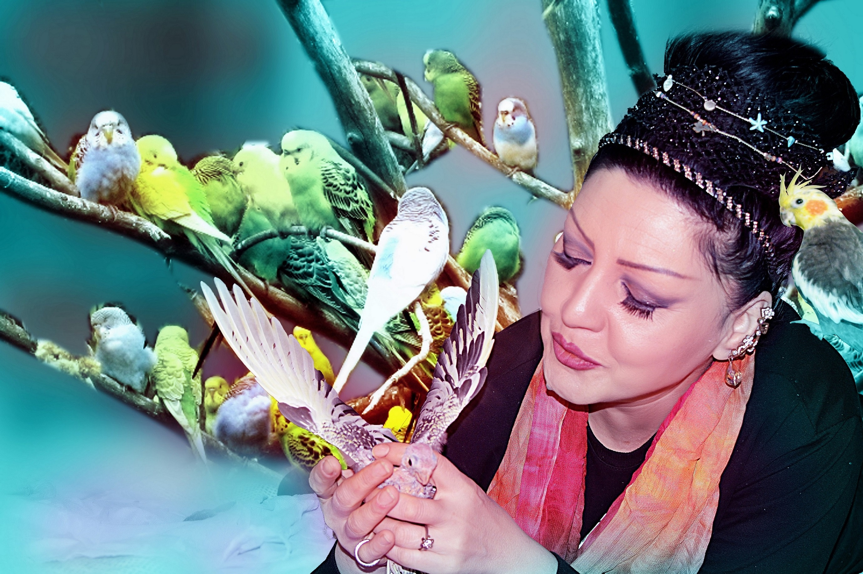 Şahsenem'in kuş cenneti! - Resim : 1