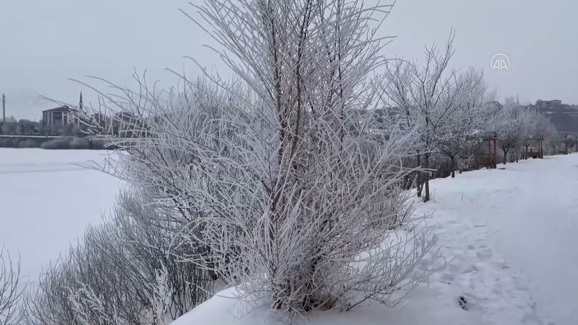 Erzurum ve Ardahan'da hayat buz tuttu - Resim : 1