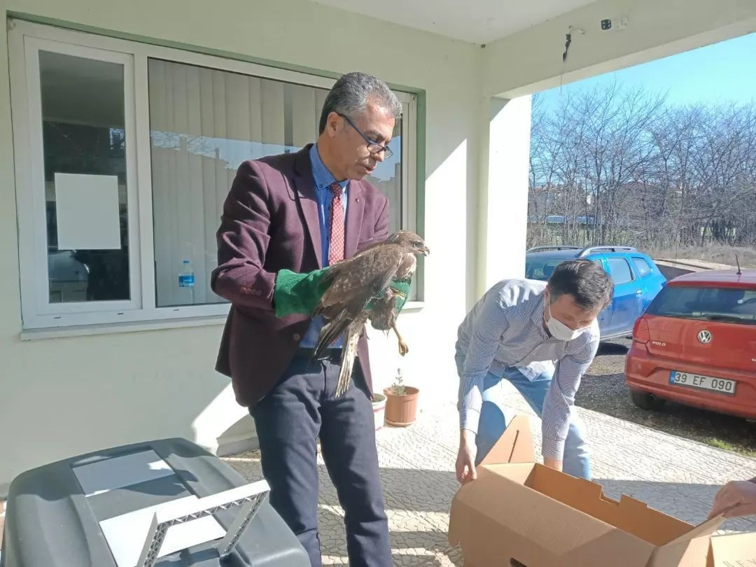 Yaralı şahin tedaviye alındı (16 Şubat 2022) - Resim : 1