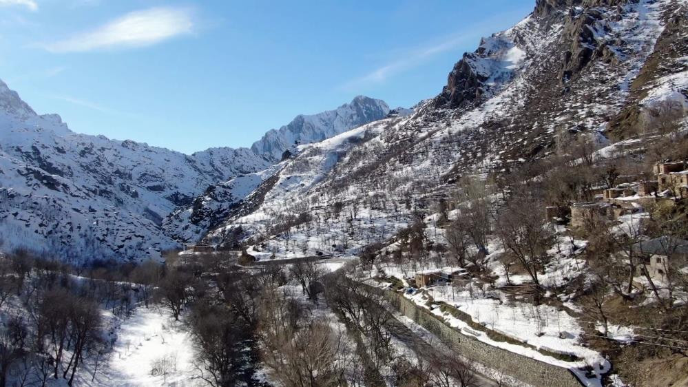 Arılar mevsimi şaşırdı vadiye akın etti - Resim : 5