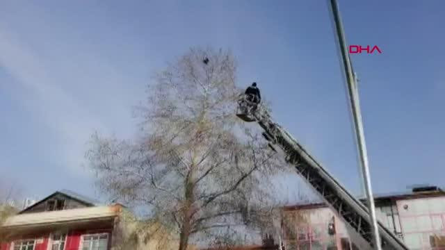 İtfaiyeden karga kurtarma operasyonu - Resim : 2