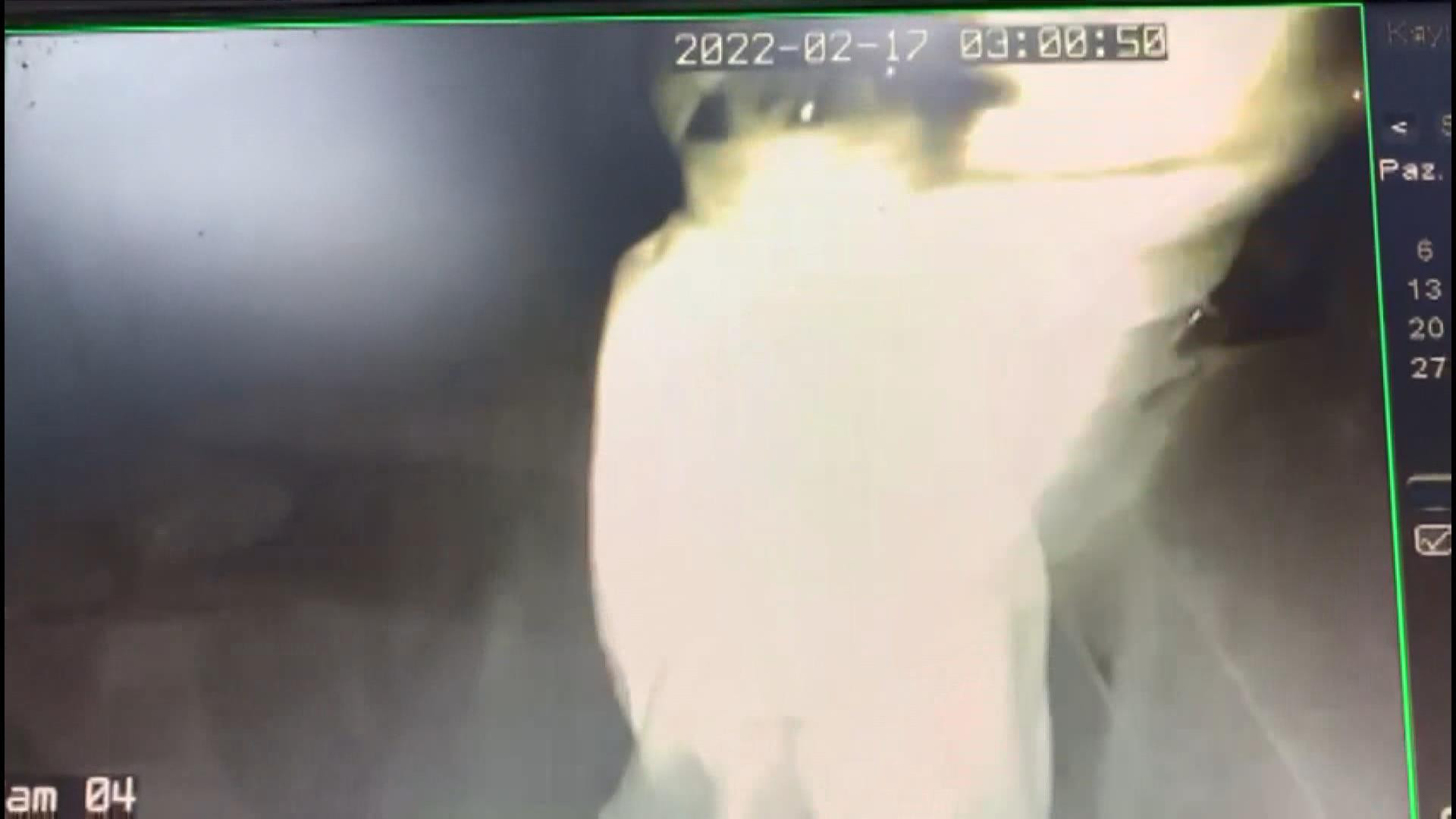 Hırsızların pişkinliği pes dedirtti! ‘Sanane ki senin mi’ - Resim : 2