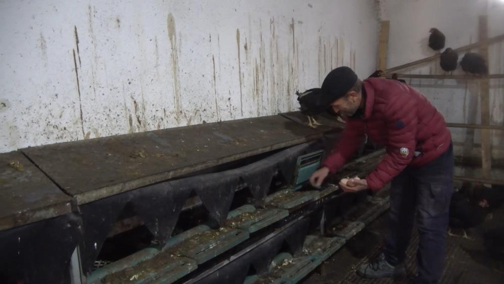 Hobi amaçlı başladı günde 1000 TL kazanıyor - Resim : 4