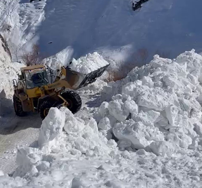 Esendere’de düşen çığ yol kapattı - Resim : 3
