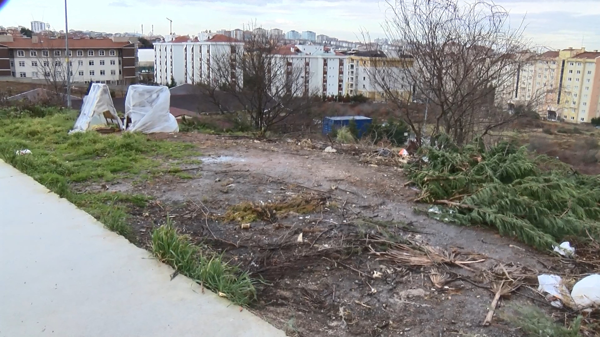 Pendik'te mama tartışması - Resim : 3