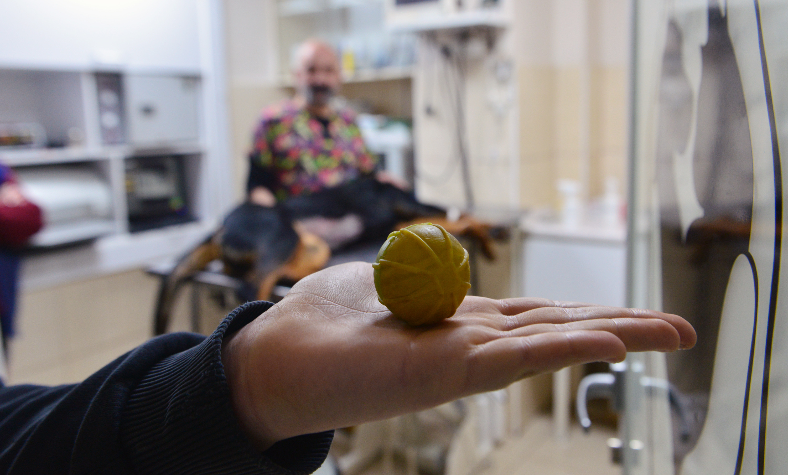 Veteriner uyardı: Evcil hayvanlarda cisim yutmak ölümlerine neden olabilir - Resim : 2