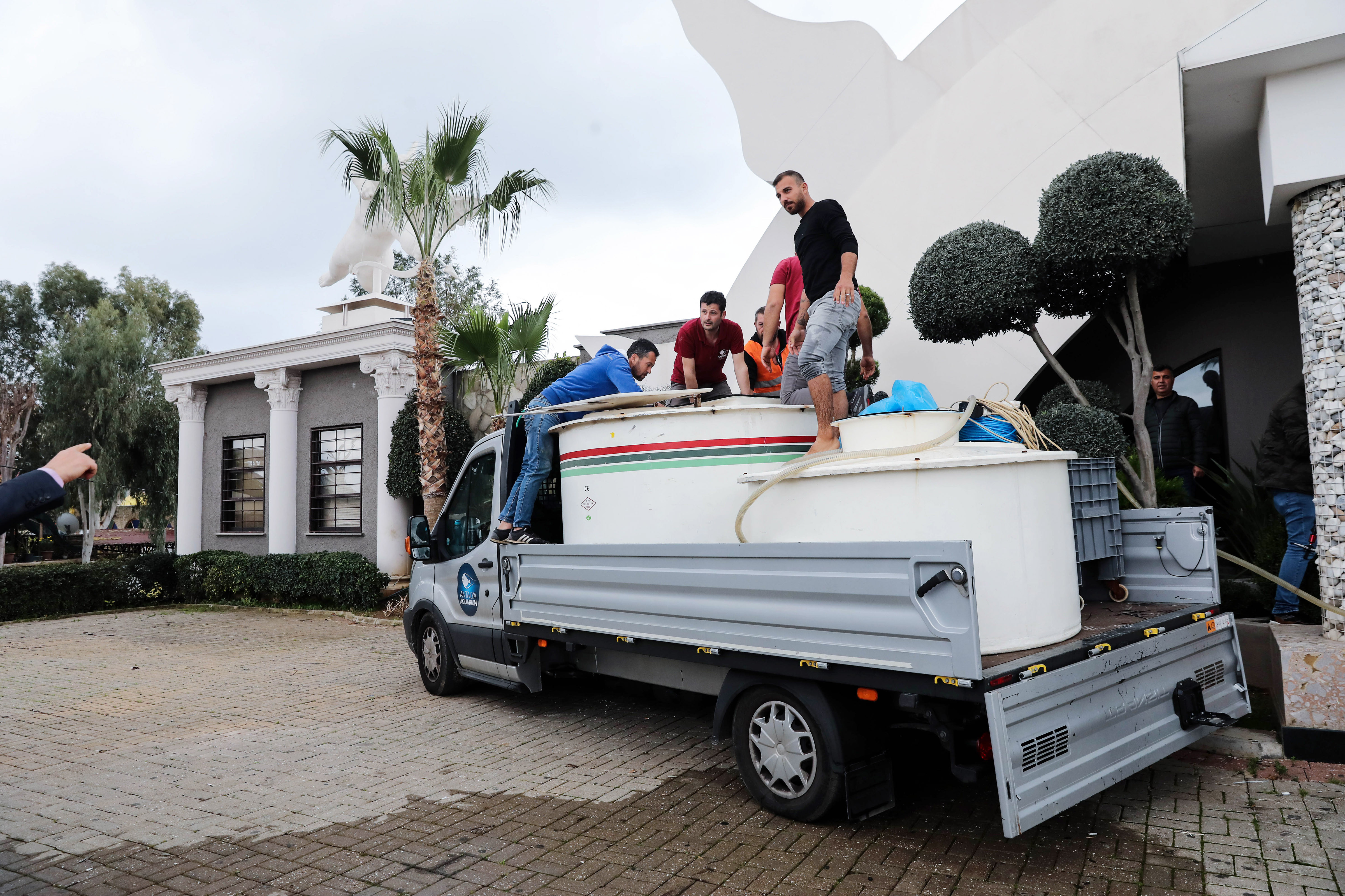 Diskotekteki köpek balığı ‘Summer’ yeni yaşam alanına nakledildi - Resim : 11