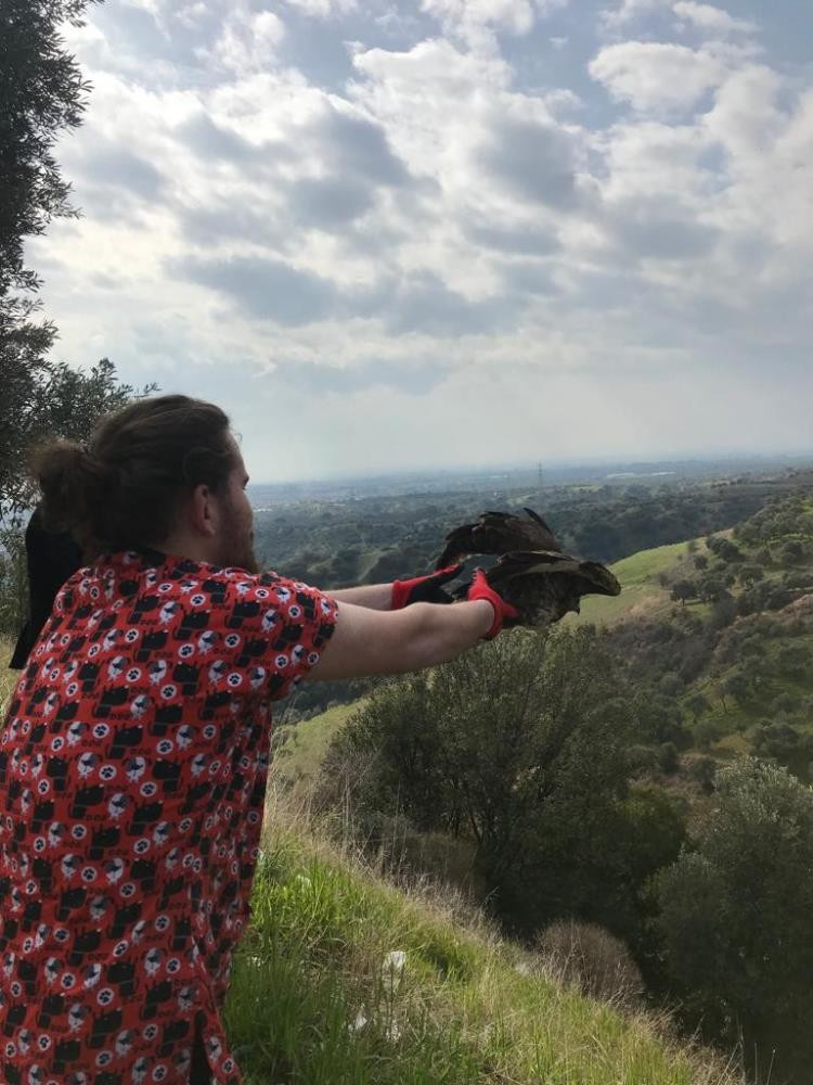 Hakkı Bulut hayranı şahin doğaya salındı - Resim : 6