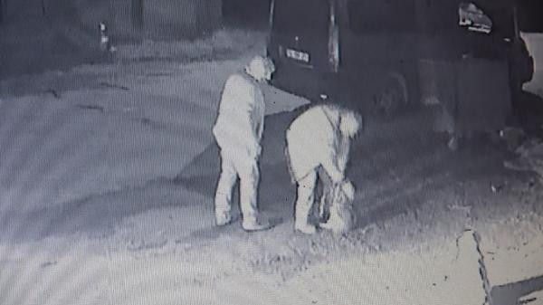 Yavrusu çalınan köpek yemeden içmeden kesildi - Resim : 2