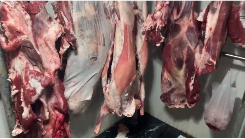 Allah'tan yakalandılar. Zabıta bile dondu kaldı - Resim : 5