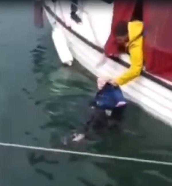 Bodrum'da bir çift el ele tutuşup denize atladı - Resim : 1