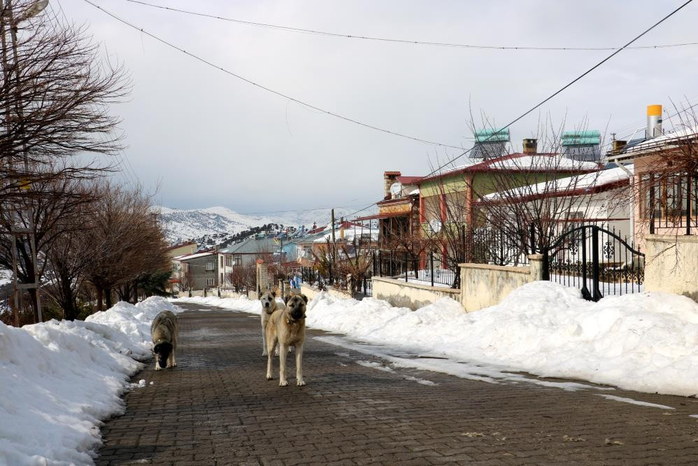 Gören aşık oluyor satılık ev arıyor - Resim : 5