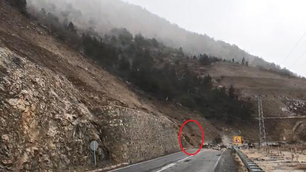 Artvin'de kayalar yuvarlandı yol kapandı - Resim : 2