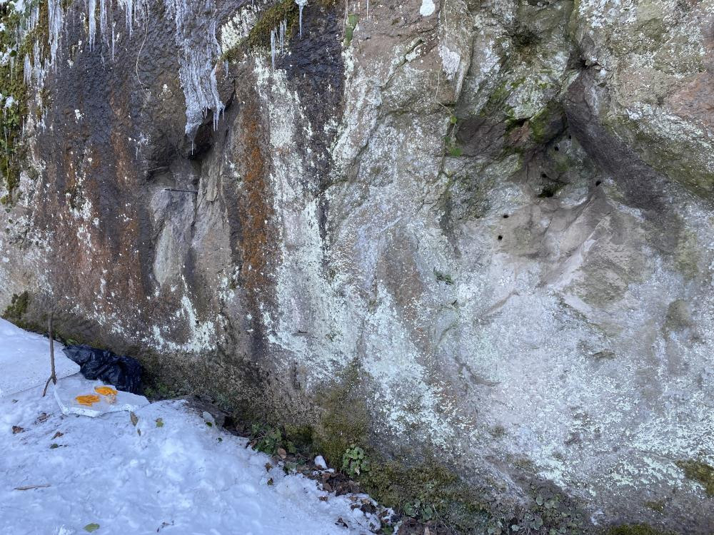 Define avcısı askerler tutuklandı - Resim : 3