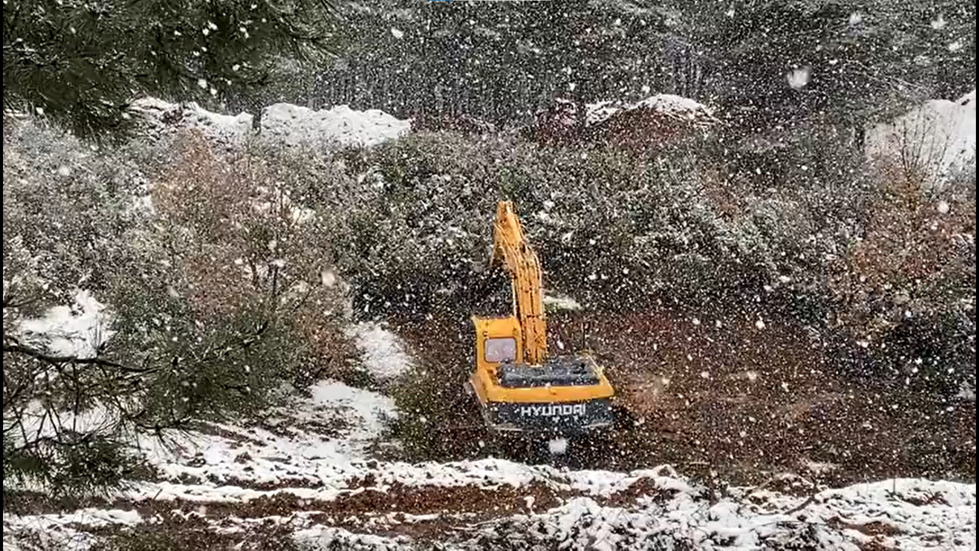 Aydos Ormanları’nın millet bahçesi için katledilmesine bir vatandaş ağlayarak isyan etti - Resim : 1