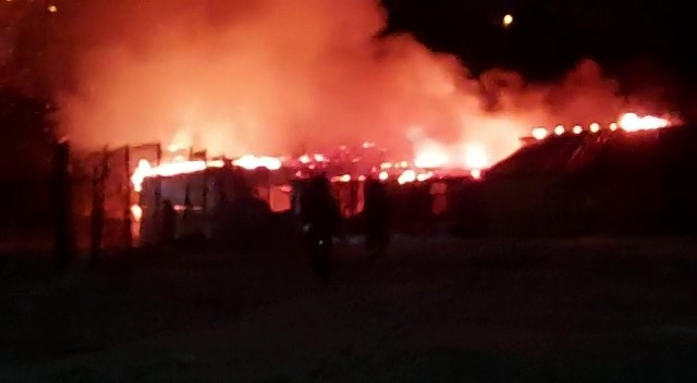 Hayvanları diri diri yanmaktan kurtardı - Resim : 4