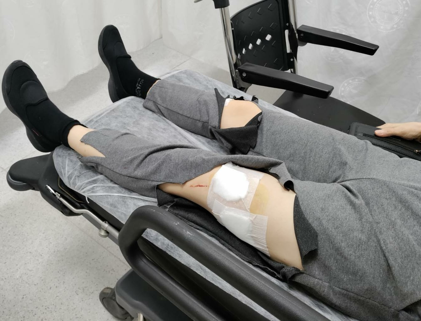 Muğla Milas'ta grup halindeki köpekler bir kadını birçok kez ısırdı - Resim : 4