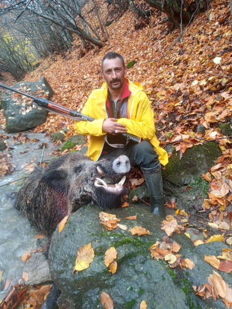 Gidin siz bir de domuzun halini görün - Resim : 4