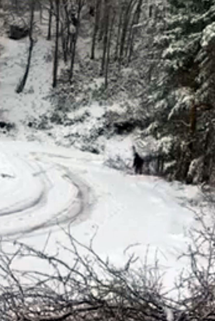 Uçuruma yuvarlanan traktörden son anda atladı - Resim : 3