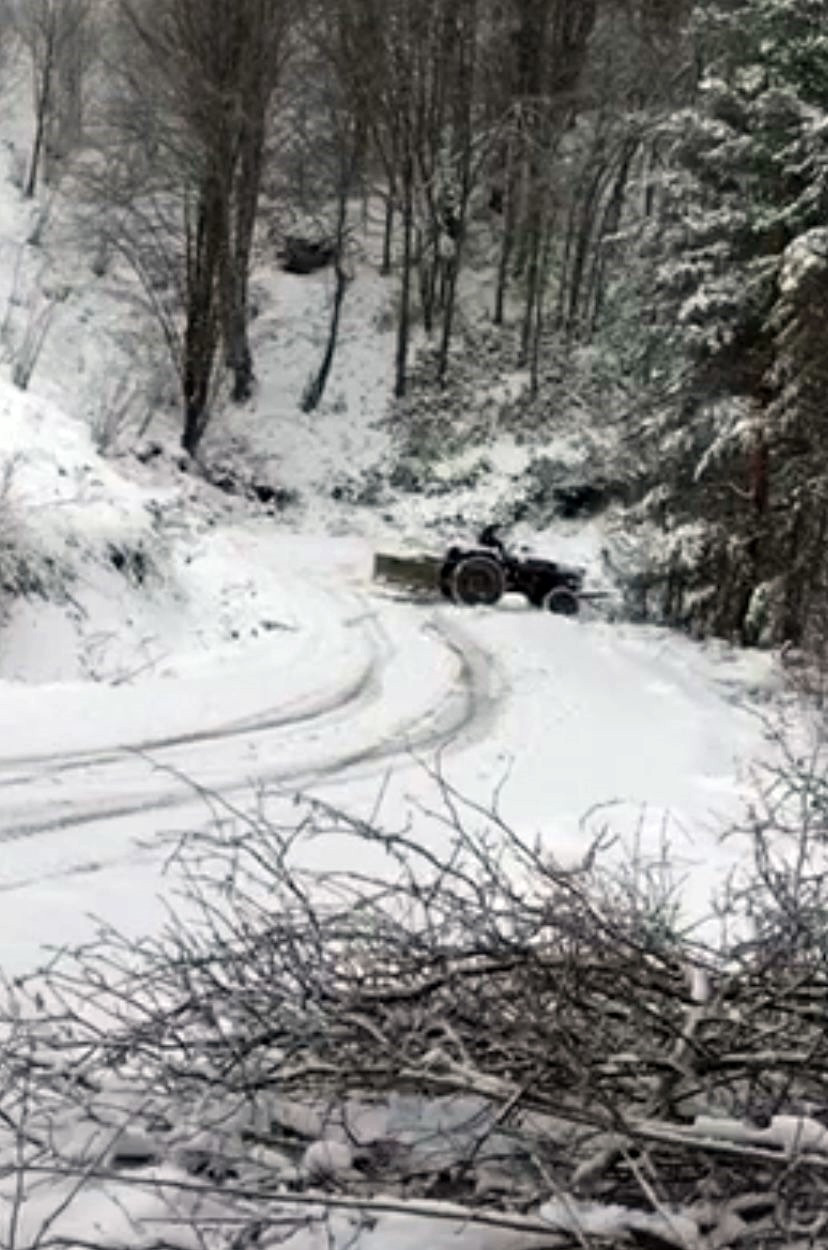 Uçuruma yuvarlanan traktörden son anda atladı - Resim : 1
