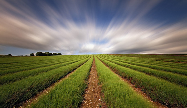 Tarımsal destek ödemeleri bugün yatırılacak - Resim : 2
