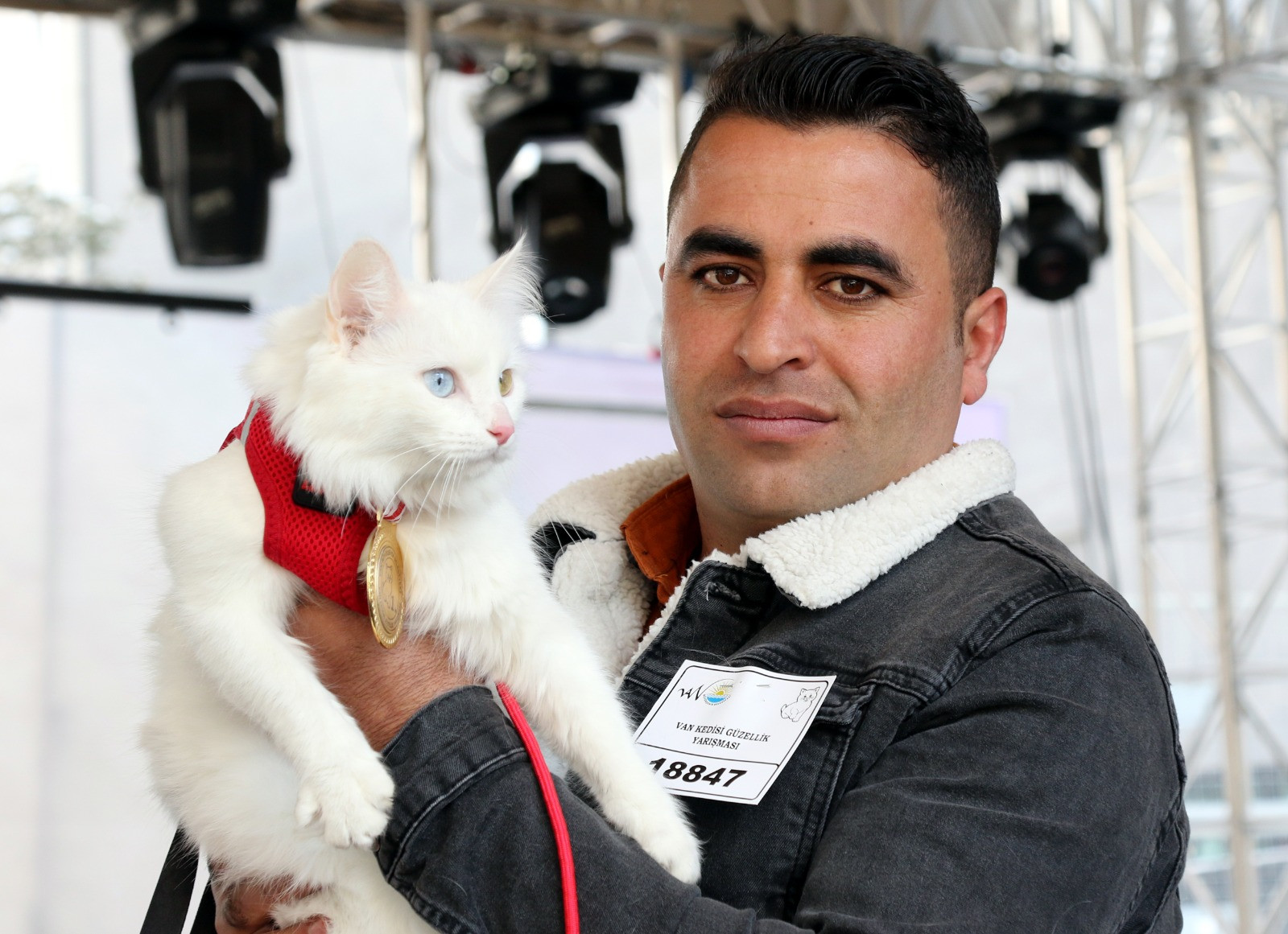 Van’ın en güzel kedisi ‘Mia’seçildi - Resim : 3