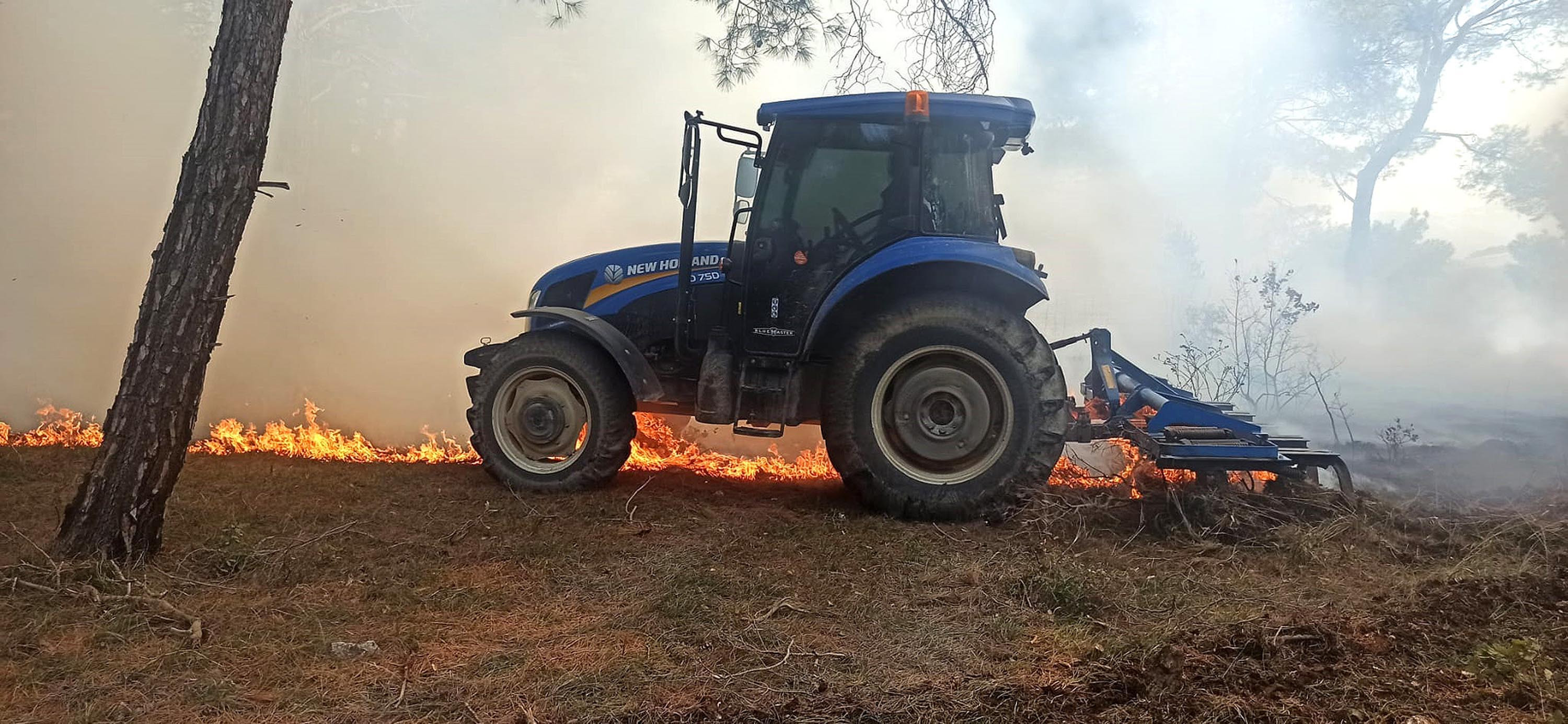 Soma’da çıkan orman yangını söndürüldü - Resim : 1