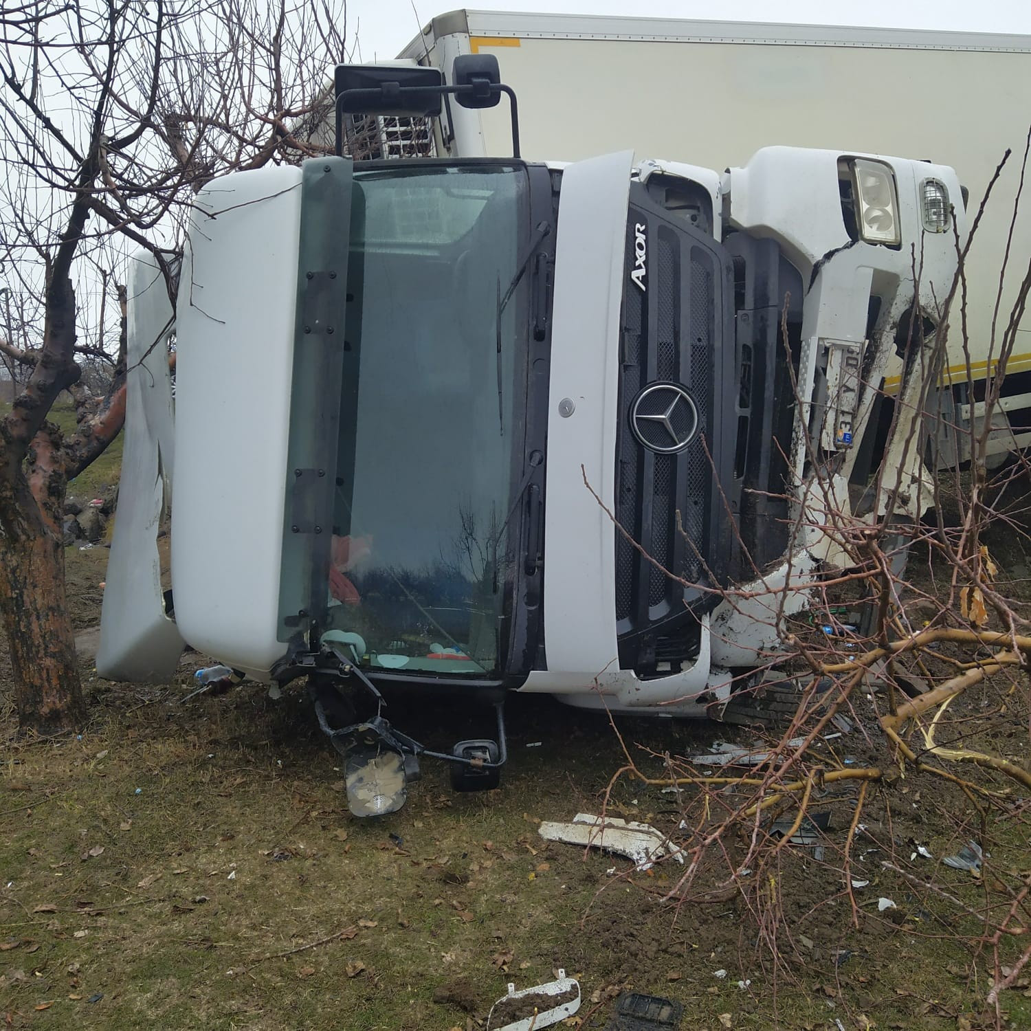 Tır meyve bahçesine daldı - Resim : 2