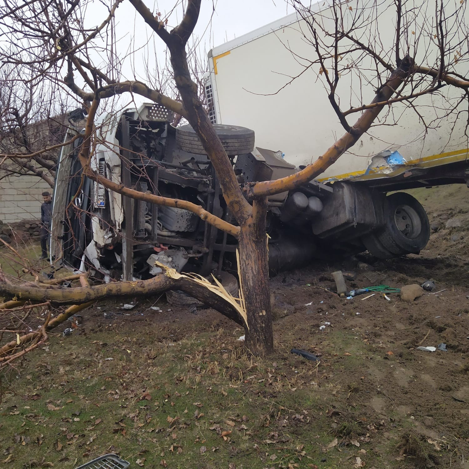 Tır meyve bahçesine daldı - Resim : 3