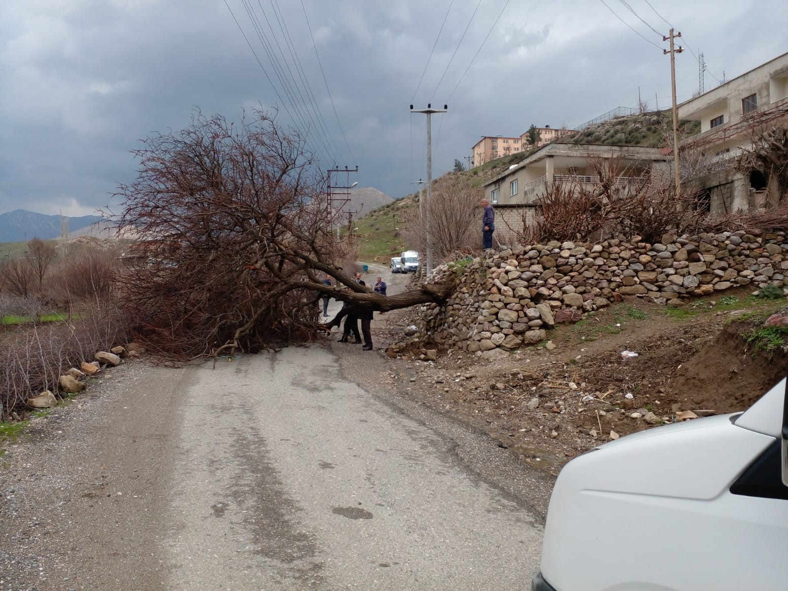 Batman fırtınaya teslim oldu! - Resim : 1