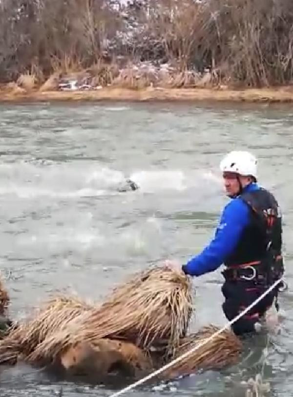 Çaya düşen ördeğin peşinden giden avcı boğuldu - Resim : 2