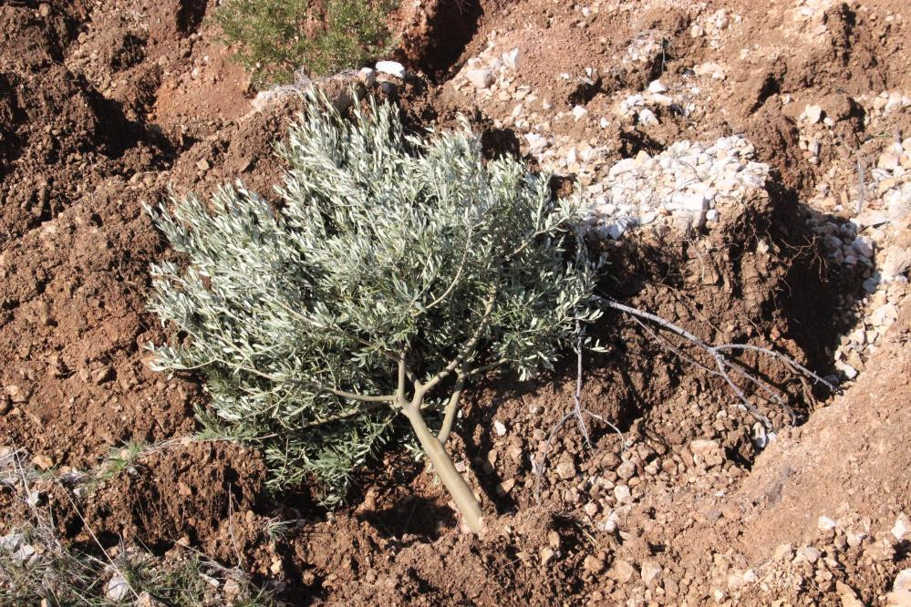 Karaman’da heyelan - Resim : 5